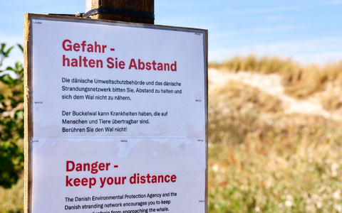 Achtung, Ansteckungsgefahr! Die Behörden klären auf Deutsch auf.  - Foto: Marcus Golejewski/dpa