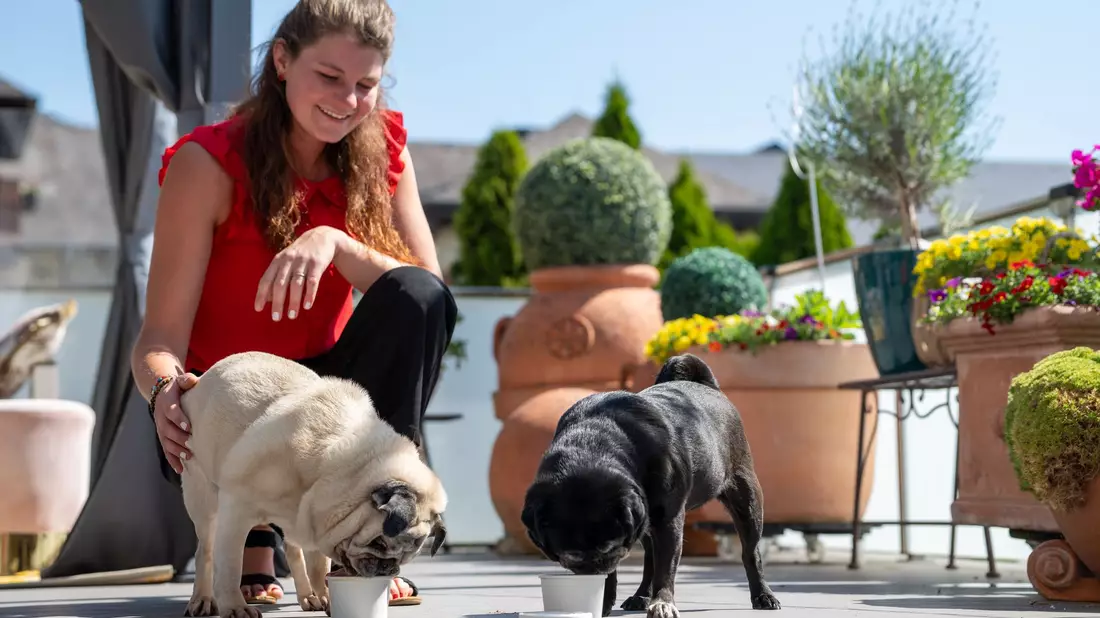 Hundebesitzer kaufen sich oft selbst ein Eis. (Archivbild) - Bild: Harald Tittel/dpa