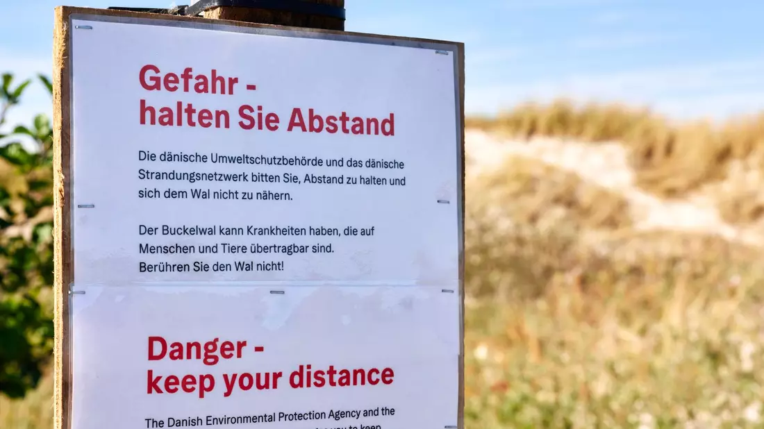 Achtung, Ansteckungsgefahr! Die Behörden klären auf Deutsch auf.  - Bild: Marcus Golejewski/dpa