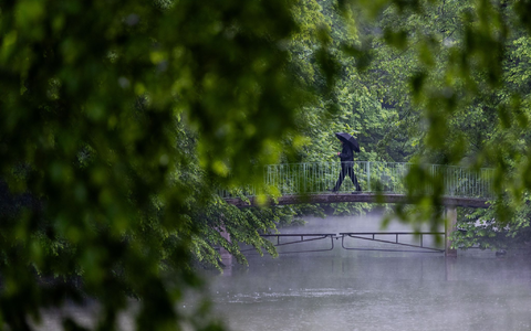 In Köln war der Samstag schon kräftig nass.  - Foto: Rolf Vennenbernd/dpa