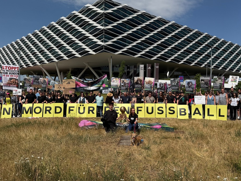 Großdemonstration: 200 Menschen protestieren gemeinsam mit VETO Tierschutz und Nathan Goldblat in Herzogenaurach gegen Massentötungen von Hunden für die WM 2030 in Marokko - Foto: presseportal.de