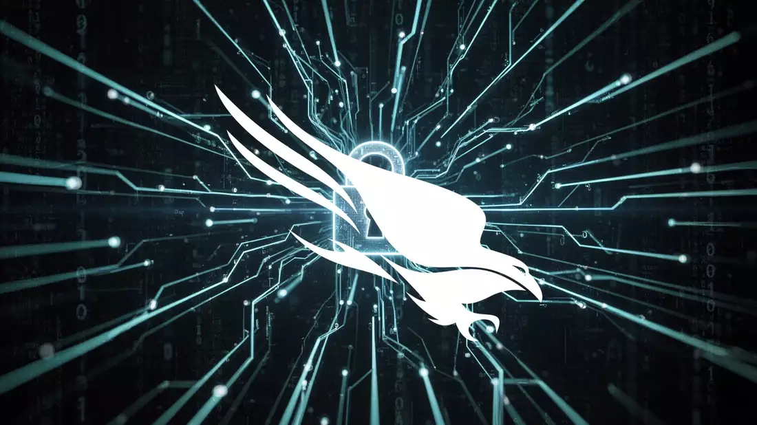 CrowdStrike Aktie: Jefferies hebt Ziel auf 775 Dollar - Bild: über boerse-global.de