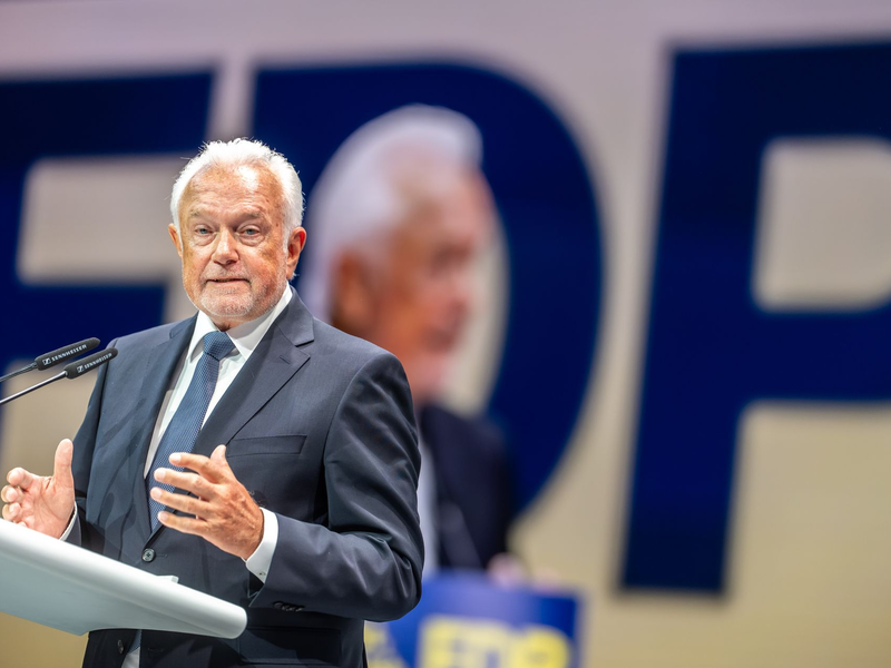 Wolfgang Kubicki siegt in Kampfabstimmung um den FDP-Vorsitz - Foto: Michael Kappeler/dpa