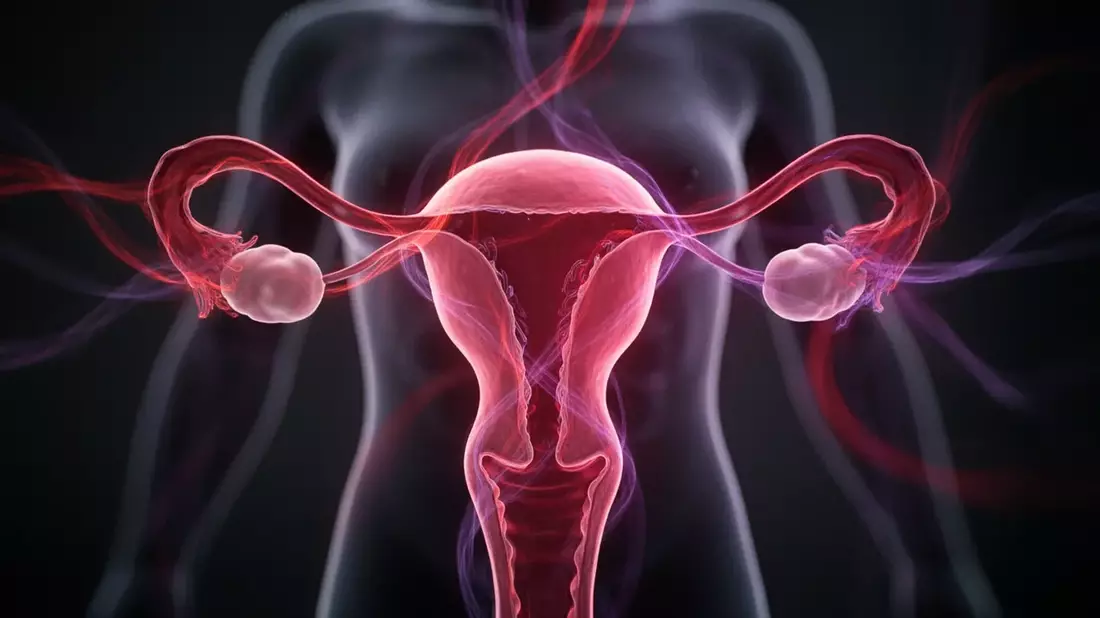 Endometriose-Forschung: Bund stellt zehn Millionen Euro bereit - Bild: über boerse-global.de