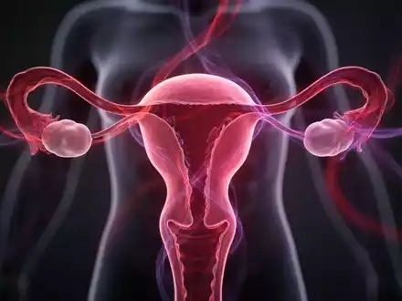 Endometriose-Forschung: Bund stellt zehn Millionen Euro bereit - Foto: über boerse-global.de