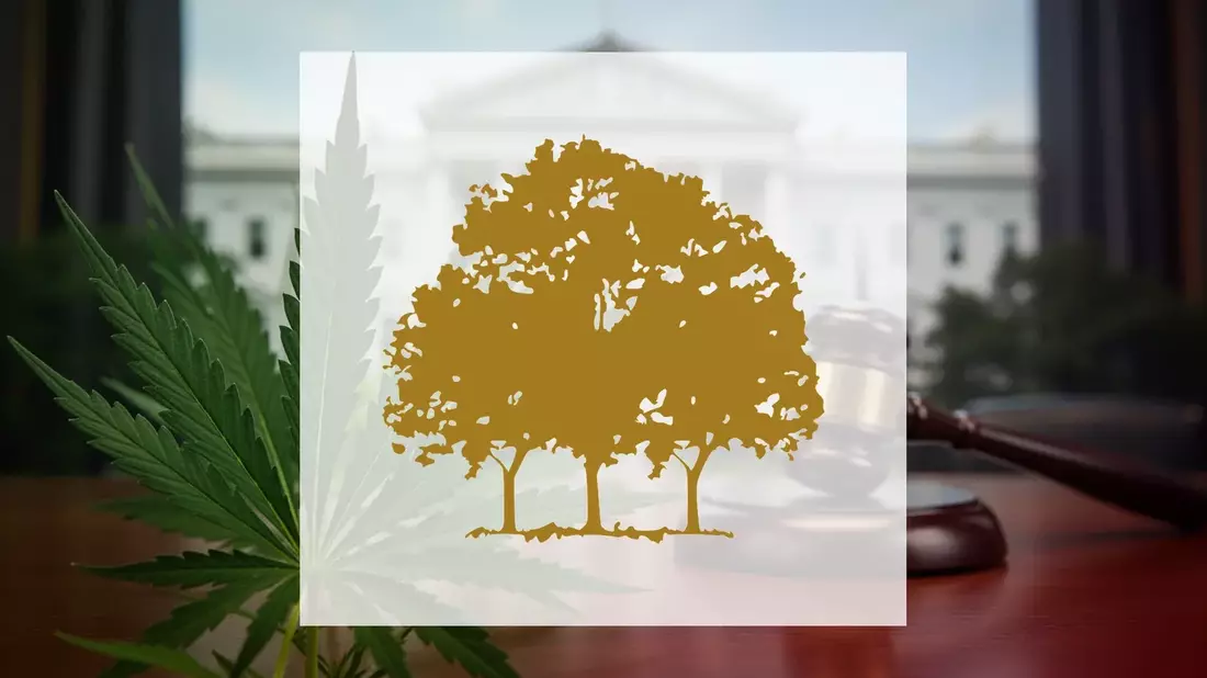 Canopy Growth Aktie: DEA-Anhörung zu Schedule III Ende Juni - Bild: über boerse-global.de
