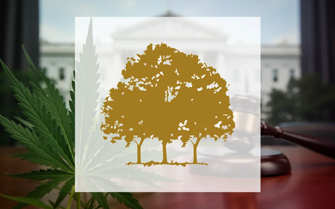 Canopy Growth Aktie: DEA-Anhörung zu Schedule III Ende Juni - Foto: über boerse-global.de