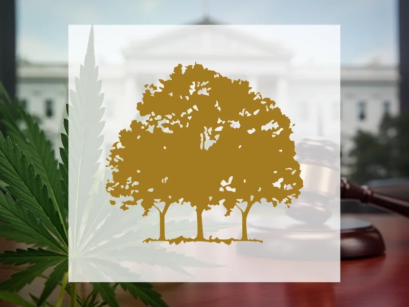Canopy Growth Aktie: DEA-Anhörung zu Schedule III Ende Juni - Foto: über boerse-global.de