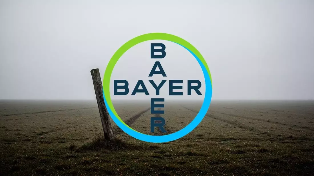 New Antitrust Lawsuit in US Corn Seeds Piles Pressure on Bayer’s Pipeline Progress - Bild: über boerse-global.de