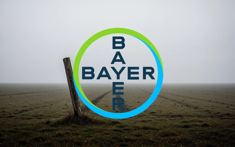New Antitrust Lawsuit in US Corn Seeds Piles Pressure on Bayer’s Pipeline Progress - Bild: über boerse-global.de