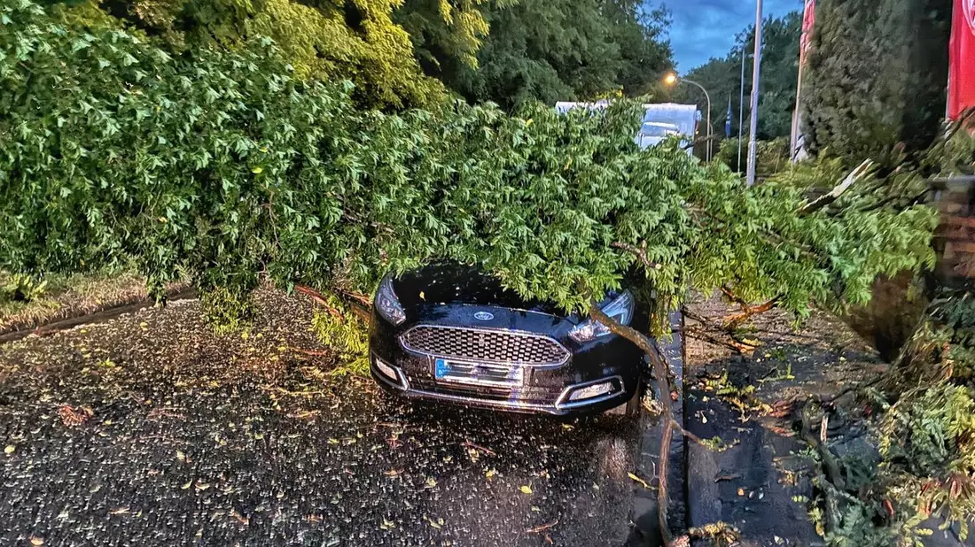 FW Grevenbroich: Erhebliche Sturmschäden in Grevenbroich-Neurath - Feuerwehr nach Gewitter im Dauereinsatz - Bild: presseportal.de