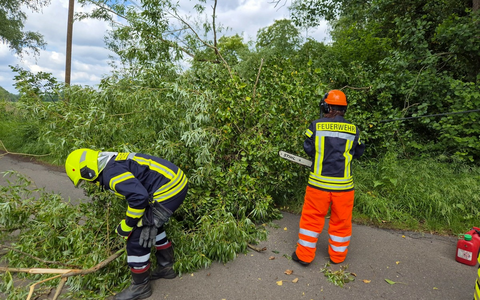 FW Flotwedel: Baum blockiert Fahrbahn und Telefonleitung im Lütersweg - Foto: presseportal.de