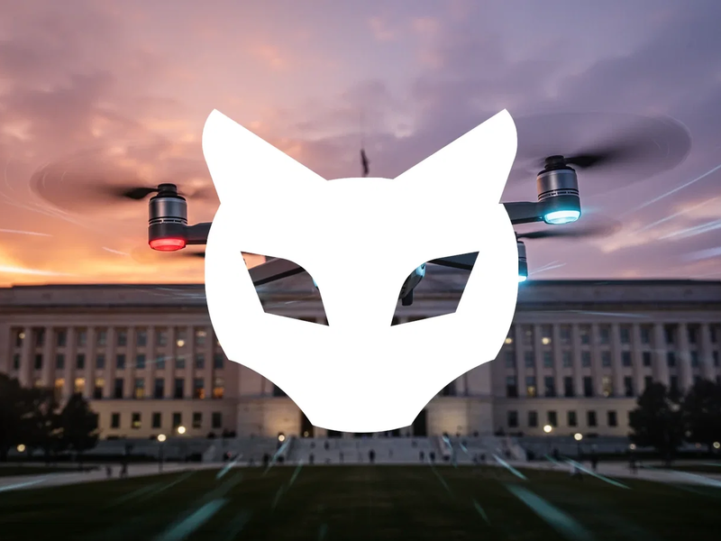 Red Cat Aktie: 33 Prozent Plus nach Pentagon-Bericht - Foto: über boerse-global.de