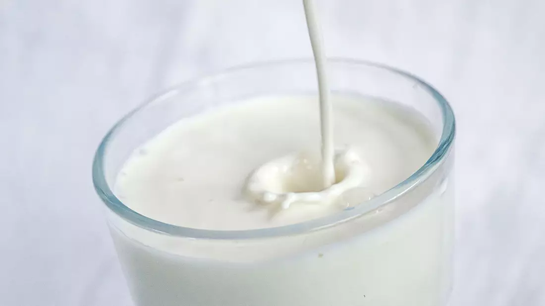 Kuhmilch - von Natur aus voller wichtiger Nährstoffe, aber in der Herstellung nicht unbedingt  gut für sie Umwelt - Bild: Sina Schuldt/dpa