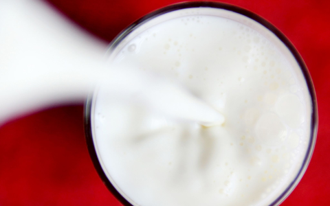Experten: «Pflanzendrinks sind kein gleichwertiger Ersatz für Kuhmilch» - Foto: Roland Weihrauch/dpa/dpa-tmn