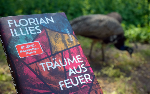 Florian Illies’ «Träume aus Feuer» ist eine Parabel darüber, wie aus einem gescheiterten Traum etwas Wertvolleres entstehen kann. - Foto: Maximilian Specht/dpa