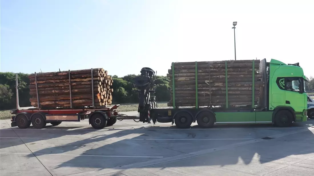 POL-PPTR: Bremsscheibe gerissen, überladen und zu lang - Holztransport musste stehen bleiben - Bild: presseportal.de