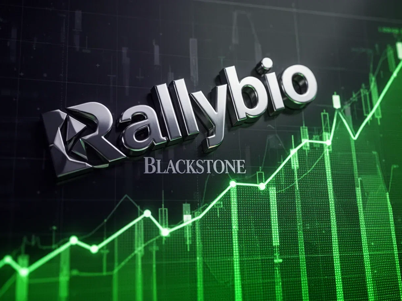 Rallybio Aktie: 215 Millionen Finanzierung von Blackstone - Foto: über boerse-global.de