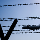 Die Zahl der Abschiebungen aus den EU-Ländern war im vergangenen Jahr gestiegen. (Symbolbild)  - Bild: Julian Stratenschulte/dpa