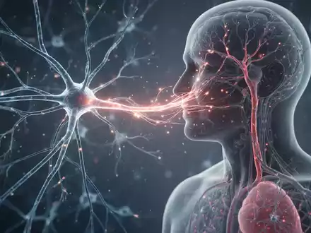 Nervenstimulator SetPoint: 75% der Rheuma-Patienten werden medikamentenfrei - Foto: über boerse-global.de
