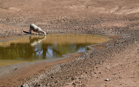 Australien kämpft bei El Niños mit verheerenden Dürren. (Archivbild) - Bild: Dean Lewins/AAP/dpa