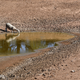 Australien kämpft bei El Niños mit verheerenden Dürren. (Archivbild) - Bild: Dean Lewins/AAP/dpa