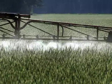 Ein Landwirt versprüht Pflanzenschutzmittel über ein Roggenfeld. - Foto: Peter Förster/dpa