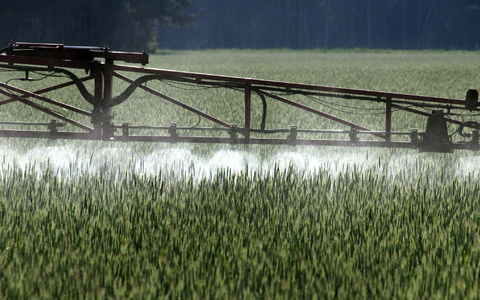 Ein Landwirt versprüht Pflanzenschutzmittel über ein Roggenfeld. - Bild: Peter Förster/dpa