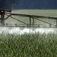 Ein Landwirt versprüht Pflanzenschutzmittel über ein Roggenfeld. - Bild: Peter Förster/dpa
