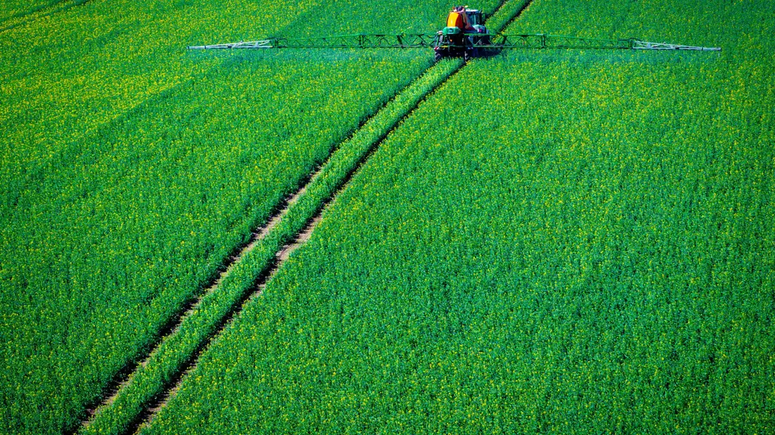 Ein Traktor zieht eine Spritzmaschine über ein Rapsfeld - Bild: Jens Büttner/dpa