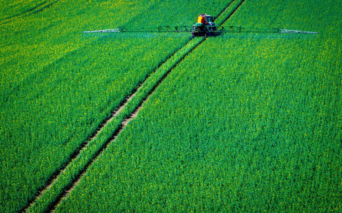 Ein Traktor zieht eine Spritzmaschine über ein Rapsfeld - Bild: Jens Büttner/dpa