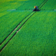 Ein Traktor zieht eine Spritzmaschine über ein Rapsfeld - Bild: Jens Büttner/dpa