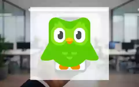 Duolingo: Umsatz springt 27 Prozent auf 292 Millionen - Bild: über boerse-global.de