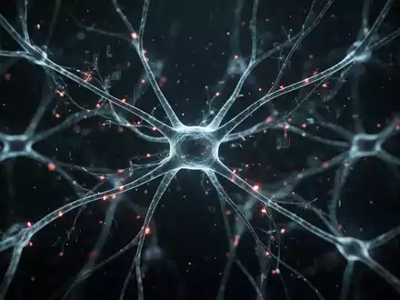Stress blockiert Gedächtnis: Hippocampus-Studie erklärt Lernverlust - Foto: über boerse-global.de