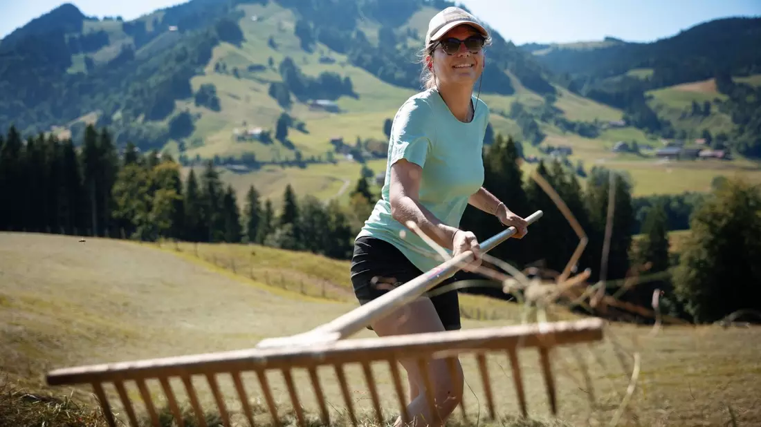 Digital Detox in den Bergen: Immer mehr Deutsche packen auf Schweizer Bergbauernhöfen mit an / Caritas Schweiz sucht 1000 Freiwillige für Bergeinsatz - Bild: presseportal.de