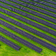 Mit dem Vorstoß will die EU-Kommission mehr Investitionen in die Energiewende ermöglichen. (Archivbild) - Bild: Sina Schuldt/dpa