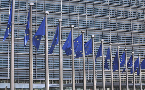 EU-Fahnen (Archiv) - Bild: via dts Nachrichtenagentur