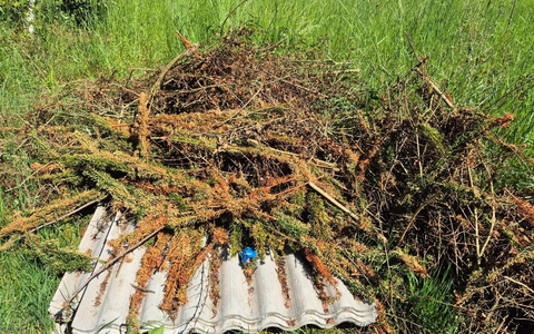 POL-RZ: Illegale Abfallentsorgung bei Basedow - Bild: presseportal.de