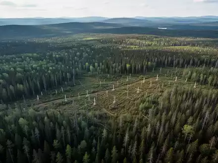 Germanium Mining Aktie: 18 Claims erweitern Quebec-Projekt - Foto: über boerse-global.de