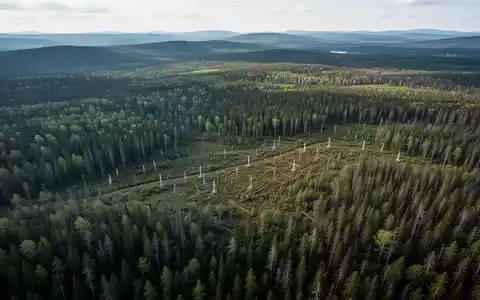 Germanium Mining Aktie: 18 Claims erweitern Quebec-Projekt - Foto: über boerse-global.de