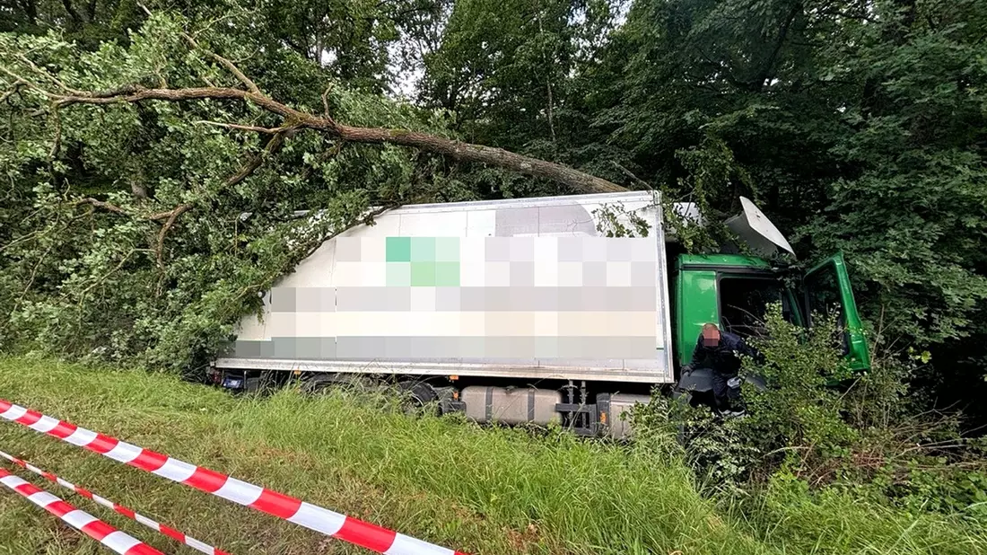 POL-PIROK: LKW in Waldstück gefahren - Bild: presseportal.de