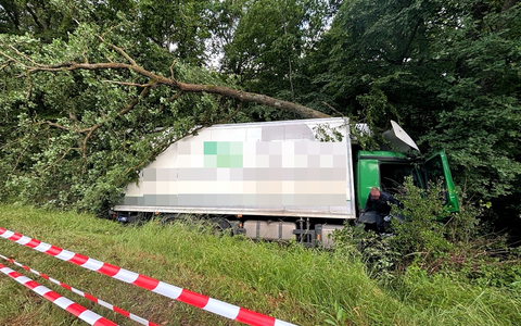 POL-PIROK: LKW in Waldstück gefahren - Bild: presseportal.de