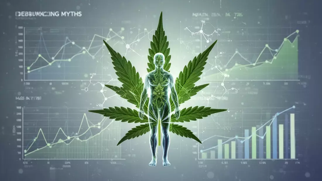 Cannabis und Gewicht: Studien widerlegen das Klischee vom Fresser - Bild: über boerse-global.de