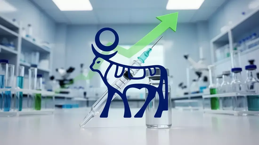 Wegovy Pill’s Gulf Debut Puts Novo Nordisk’s Global Ambitions to the Test Amid Competitive Pressure - Bild: über boerse-global.de