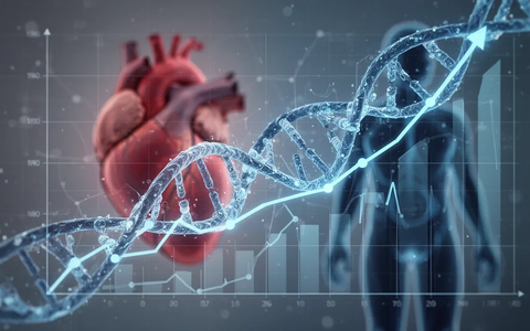 Cholesterin: Neuer OBSCORE sagt Risiken präziser voraus - Foto: über boerse-global.de