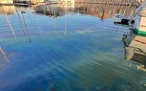 HZA-KI: Mehr als Schmuggelbekämpfung - Wasserzoll schützt Menschen und Umwelt auf See - Foto: presseportal.de