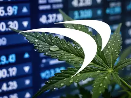 Ein Nahaufnahme-Bild eines Cannabisblattes mit Tautropfen, das im Hintergrund die verschwommenen Lichter eines digitalen Börsentickers reflektiert. - Foto: über boerse-global.de