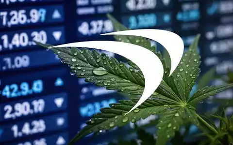 Ein Nahaufnahme-Bild eines Cannabisblattes mit Tautropfen, das im Hintergrund die verschwommenen Lichter eines digitalen Börsentickers reflektiert. - Foto: über boerse-global.de