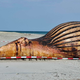 Der tote Wal und ein Container am Strand der Insel Anholt. - Bild: Kai Moorschlatt/dpa