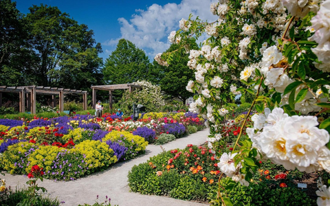 Grandiose Blühhöhepunkte und ein Jahr voller historischer Entdeckungen / Der egapark feiert sein 65jähriges Bestehen - Bild: presseportal.de